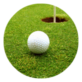 DAROUND 342 Gone Golfing (Balls)